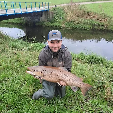 Djurs Housing 3* Trustrup