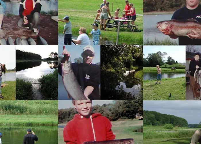 Lägenhetshotell Djurs Housing